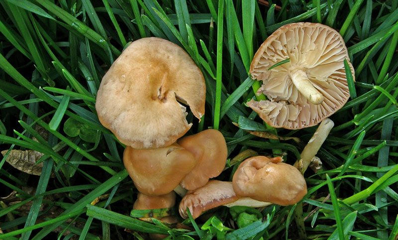 Ritrovamenti marted� 3 aprile.